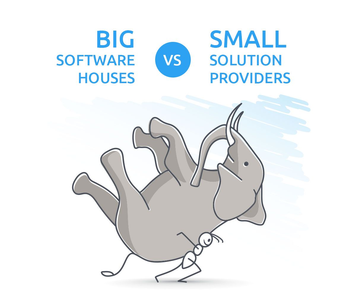 Software house VS Solution provider